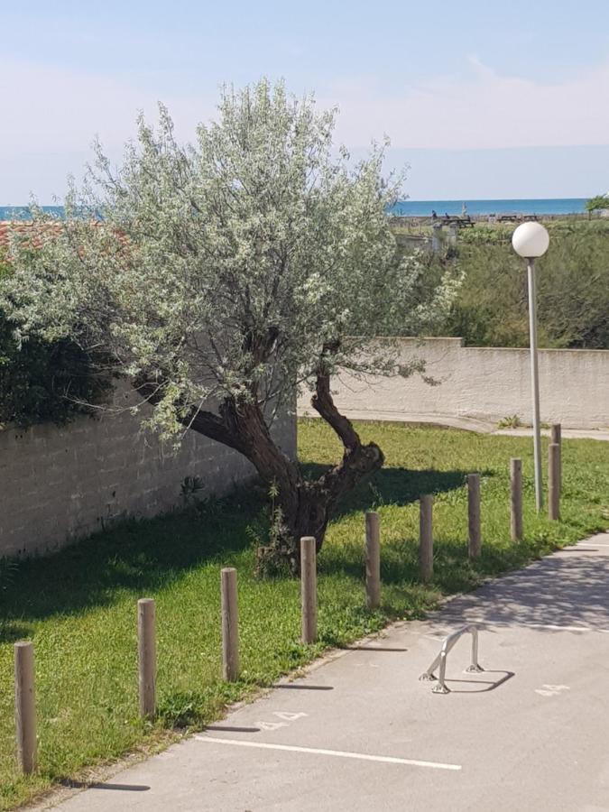 La Rose Des Sables, T2 A La Mer, Terrasse Et Garage 프롱티냥 외부 사진