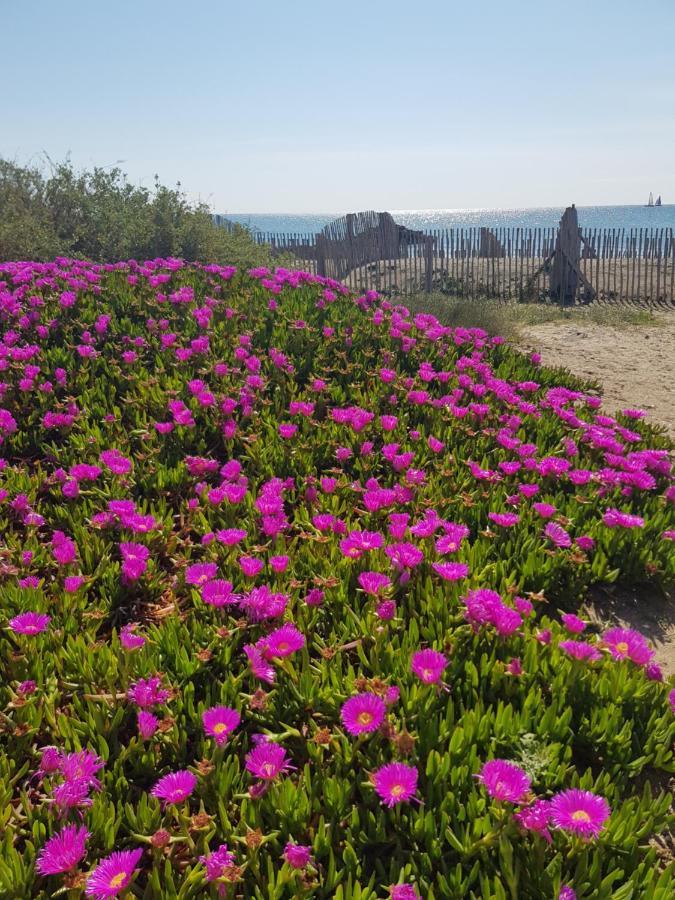 La Rose Des Sables, T2 A La Mer, Terrasse Et Garage 프롱티냥 외부 사진