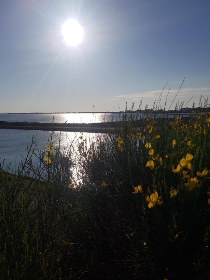 La Rose Des Sables, T2 A La Mer, Terrasse Et Garage 프롱티냥 외부 사진