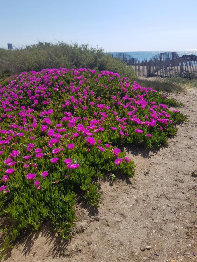 La Rose Des Sables, T2 A La Mer, Terrasse Et Garage 프롱티냥 외부 사진